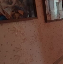 Продажа 1-комн квартиры на вторичном рынке пос. Мга, проспект Красного Октября, 67