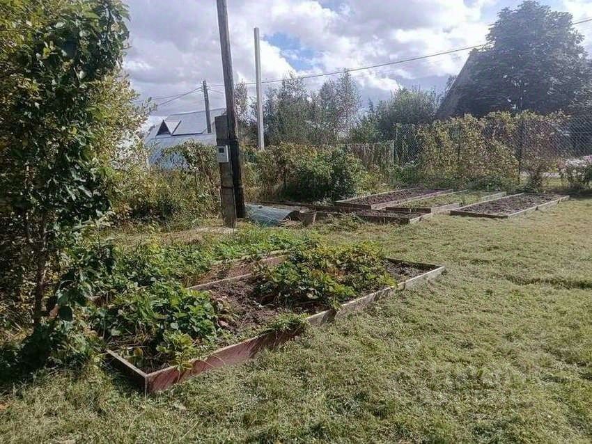 Продажа земли Новая Ропша садоводческий массив, Макаровец-1 СНТ, аллея 12-я Лесная,  д. 31А