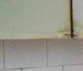 Продать Квартиры вторичка Мамонтовка мкр, Пушкино, Рабочая улица  21 