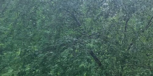 Комната Колпино, улица Металлургов, 9