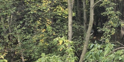 3-комн квартира улица 26 Бакинских Комиссаров, 3к3