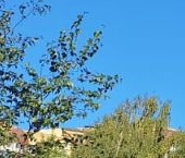 Сдать в аренду Квартиры вторичка д. Новое Девяткино, улица Главная, 14   