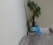 Сдать в аренду Квартиры вторичка улица Дыбенко, 4к1   