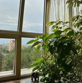 Продажа 4-комн квартиры на вторичном рынке улица Соловьиная Роща,  д. 9