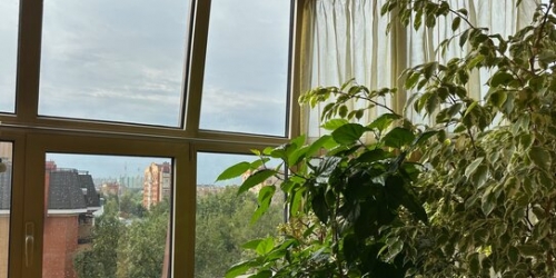 4-комн квартира улица Соловьиная Роща,  д. 9