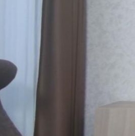 Аренда 1-комн квартиры на вторичном рынке улица Коллонтай, 5/1 Аренда 1-комн квартиры на вторичном рынке улица Коллонтай, 5/1