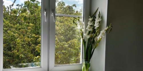 1-комн квартира Радиаторская 1-я ул,  д. 9