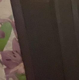 Продажа 4-комн квартиры на вторичном рынке д. Терпилицы, 9