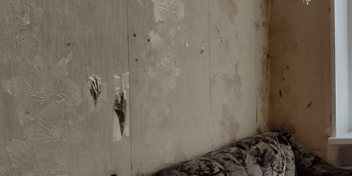 2-комн квартира Горелово тер., улица Коммунаров, 114