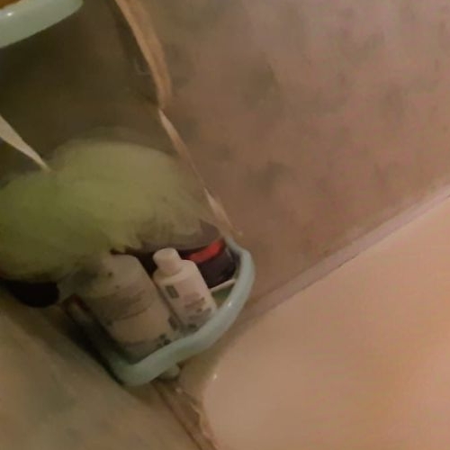 2-комн квартира д. Разметелево, переулок Виркинский, 4