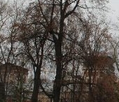 Продать Квартиры вторичка улица Эдуарда Стрельцова, 2к2   