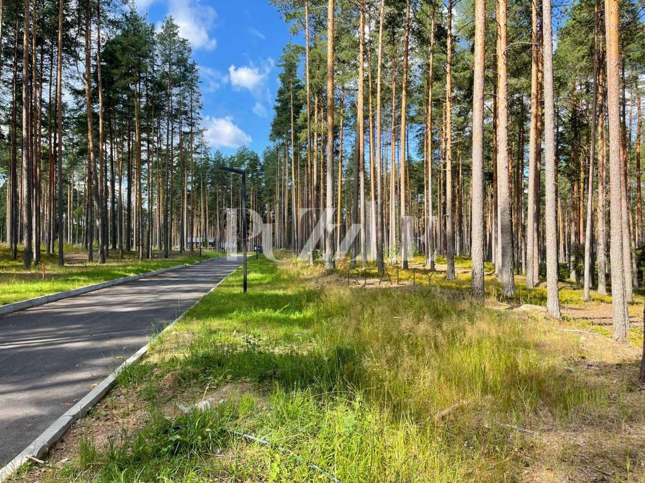 Продажа земли д. Варшко, улица Сосновая, 3
