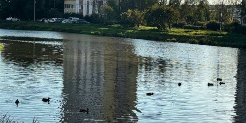 2-комн квартира Пионерстроя ул. ,  д. 17,  к. 2