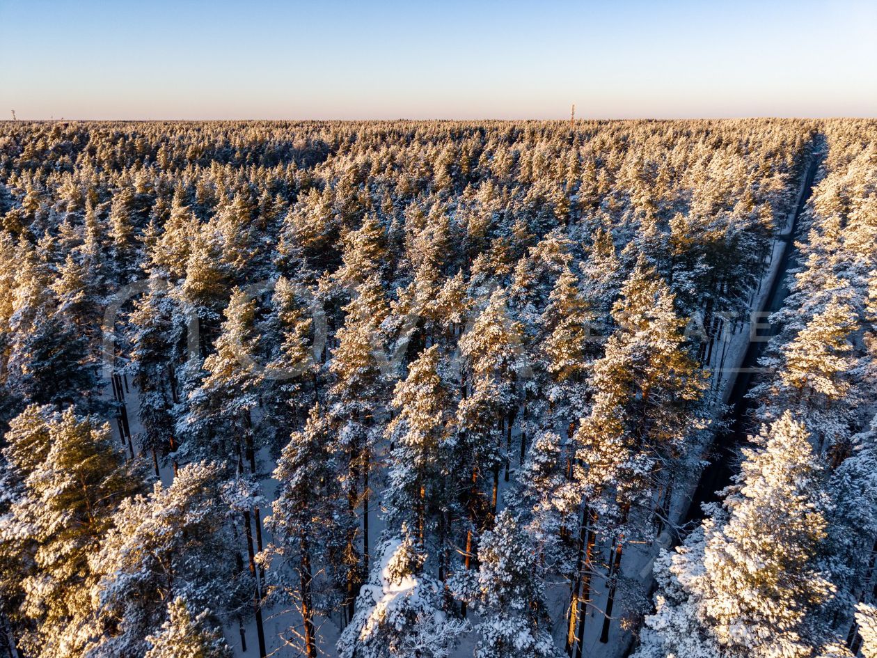 Продажа земли пос. Комарово, проспект Лесной