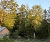 Продать Дачи, коттеджи, загородные дома Крин СНТ, улица Зеленая  26 