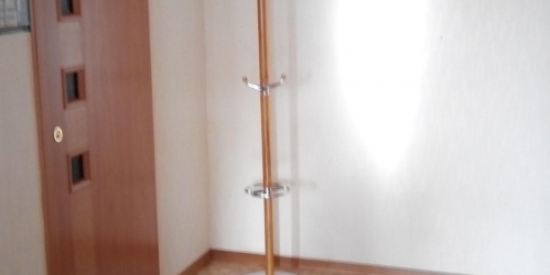 1-комн квартира Пушкин г, Малиновская ул,  д. 11