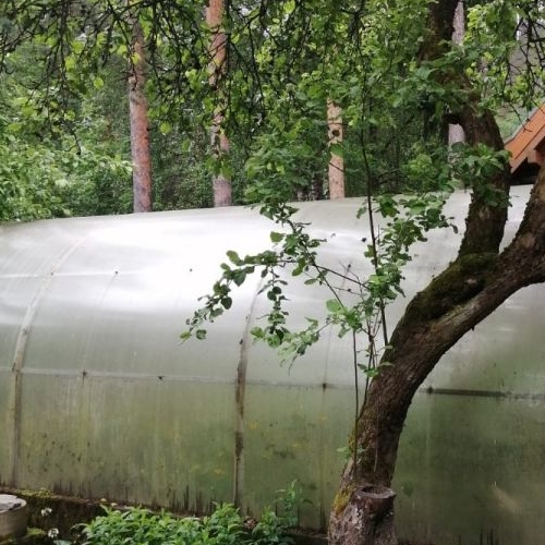 Земельный участок Строитель-19 СНТ, 34