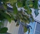 Сдать в аренду Квартиры вторичка д. Малое Верево, улица Кутышева, 8   