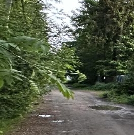 Продажа земли Всеволожск, Бибиковская улица, 23 Продажа земли Всеволожск, Бибиковская улица, 23