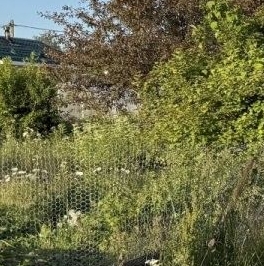 Продажа земли пос. Первомайское, Ручеек-Первомайское СНТ, переулок Магистральный