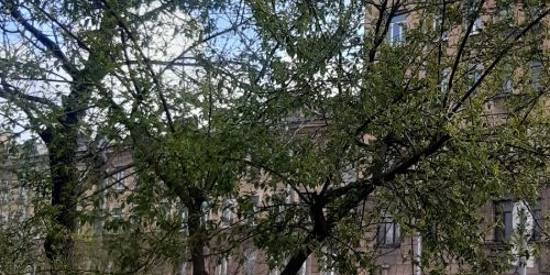 6-комн квартира Троицкий проспект, 16