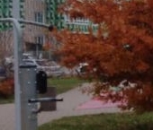 Продать Квартиры вторичка пос. Янино-1, переулок Мельничный, 1к3   