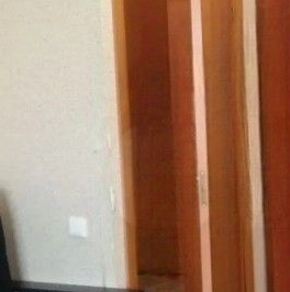 Аренда 1-комн квартиры на вторичном рынке д. Новое Девяткино, улица Арсенальная, 1