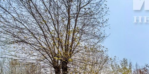 3-комн квартира улица Академика Комарова, 5