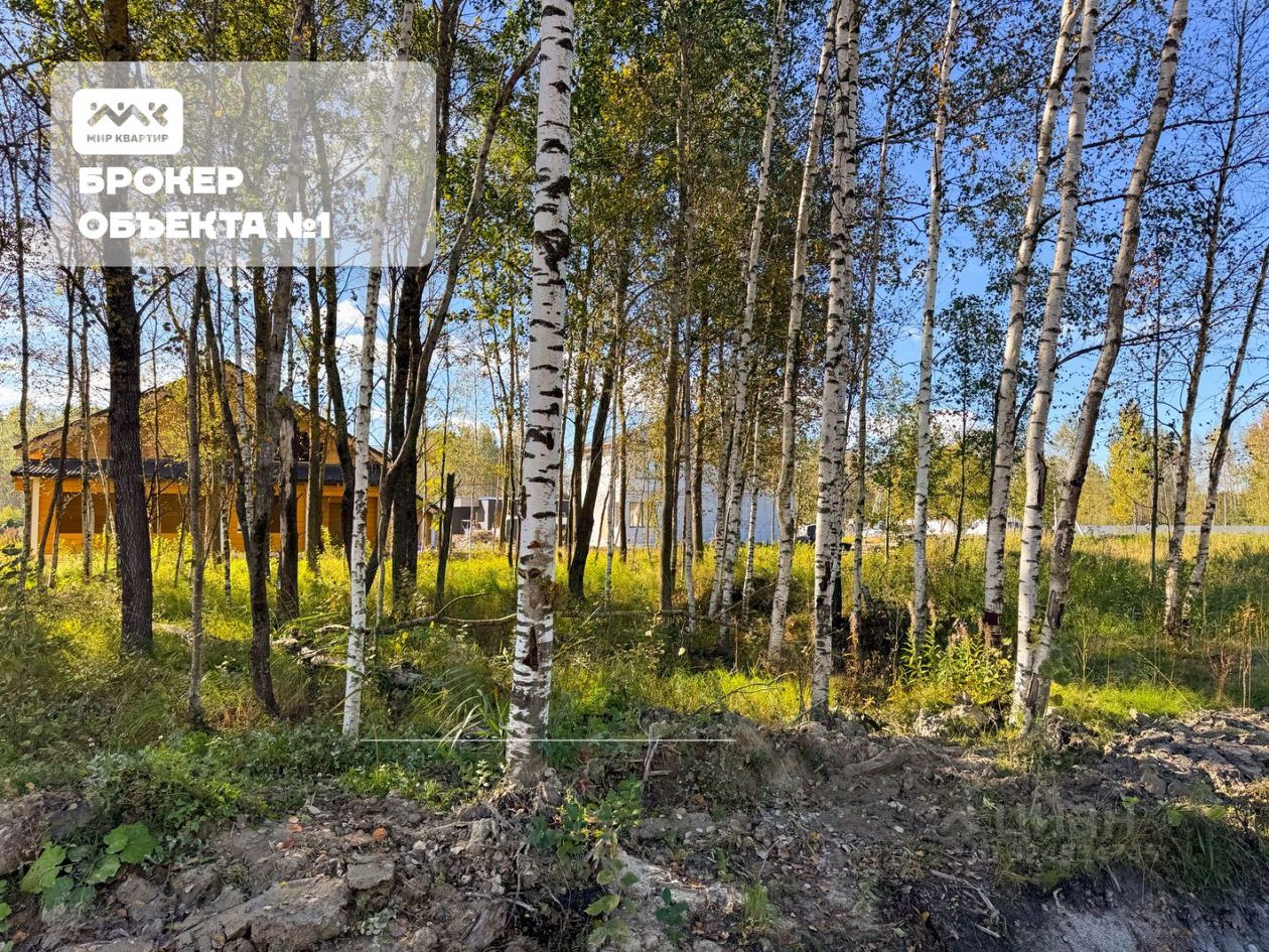 Продажа земли Павловск, Березовая улица