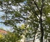 Продать Квартиры вторичка улица Гришина, 20   