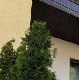 Продажа дома Коттеджный поселок Дворянская усадьба,  д. 79