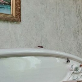 Продажа 3-комн квартиры на вторичном рынке Братиславская улица, 19К2