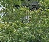 Продать Дачи, коттеджи, загородные дома д. Клинец, улица Железнодорожная   