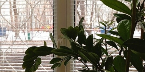 2-комн квартира улица Дениса Давыдова,  д. 7