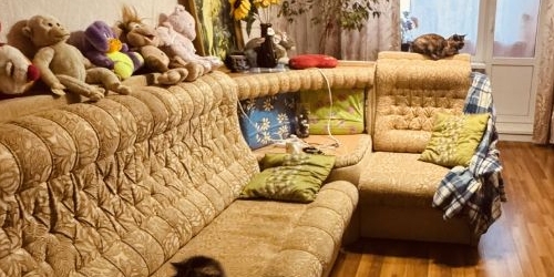 3-комн квартира Светогорск, улица Гарькавого, 8