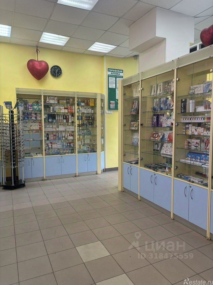 Продажа ПСН Туристская ул,  д. 20 к1