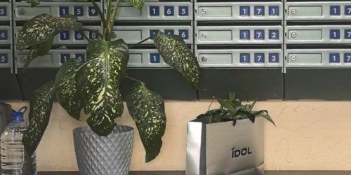 2-комн квартира Тепличный переулок, 4