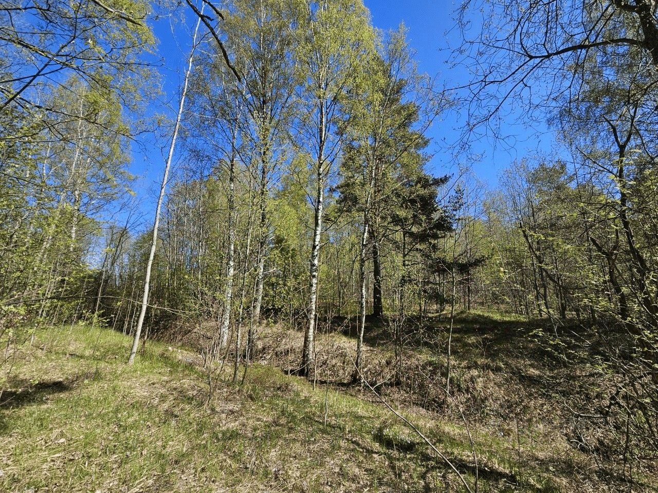 Продажа земли Белоостров Фабрики имени Желябова СНТ