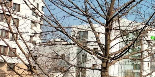 5-комн квартира Севастопольский проспект, 28к3