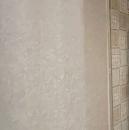 Аренда 1-комн квартиры на вторичном рынке Петергоф, Санкт-Петербургский проспект, 58 Аренда 1-комн квартиры на вторичном рынке Петергоф, Санкт-Петербургский проспект, 58