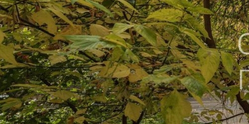 3-комн квартира улица Фомичевой, 5К2