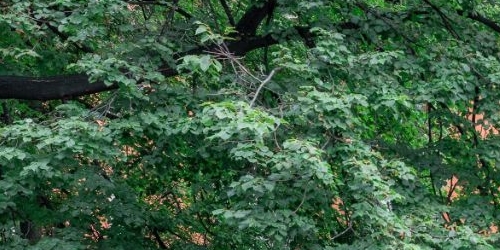 6-комн квартира Звенигородская улица, 30