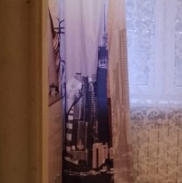 Аренда комнаты улица Партизана Германа, 33К3