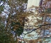 Продать Квартиры вторичка улица Костюшко, 36   