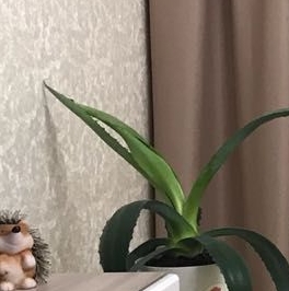 Аренда 2-комн квартиры на вторичном рынке улица Корнея Чуковского, 1 Аренда 2-комн квартиры на вторичном рынке улица Корнея Чуковского, 1