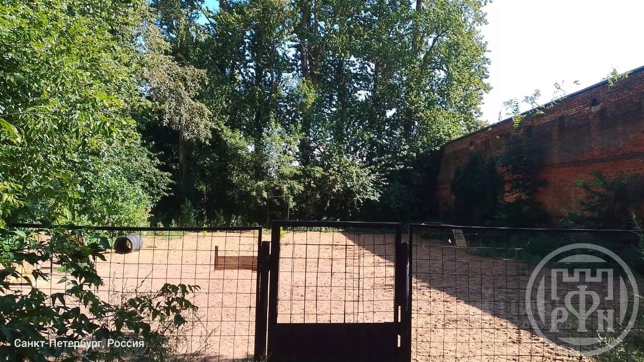 Продажа комнаты Кронштадт, улица Восстания, 5