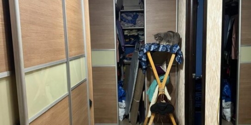 3-комн квартира ул Щербакова,  д. 4/18