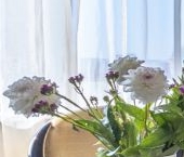 Продать Квартиры вторичка проезд Березовой Рощи, 10   