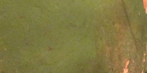 2-комн квартира улица Коммуны, 54к2