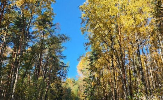 Продажа 5-комн квартиры на вторичном рынке Тихоокеанская улица,  д. 18 к2